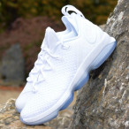 Basketbalové boty Nike Lebron XIV Low ICE