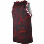 Basketbalový dres Nike DNA