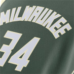 Dres Nike Giannis Antetokounmpo Milwaukee Bucks Icon Edition