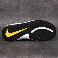 Dětské basketbalové boty Nike Team Hustle D9 PS